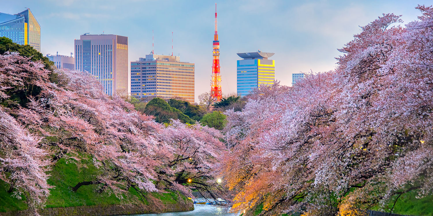 季節限定ツアー